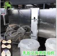 乳膠文胸生產線準備試運行